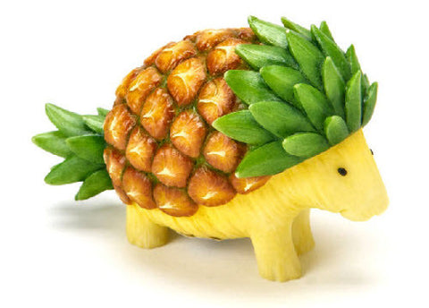 Pineapple Pet